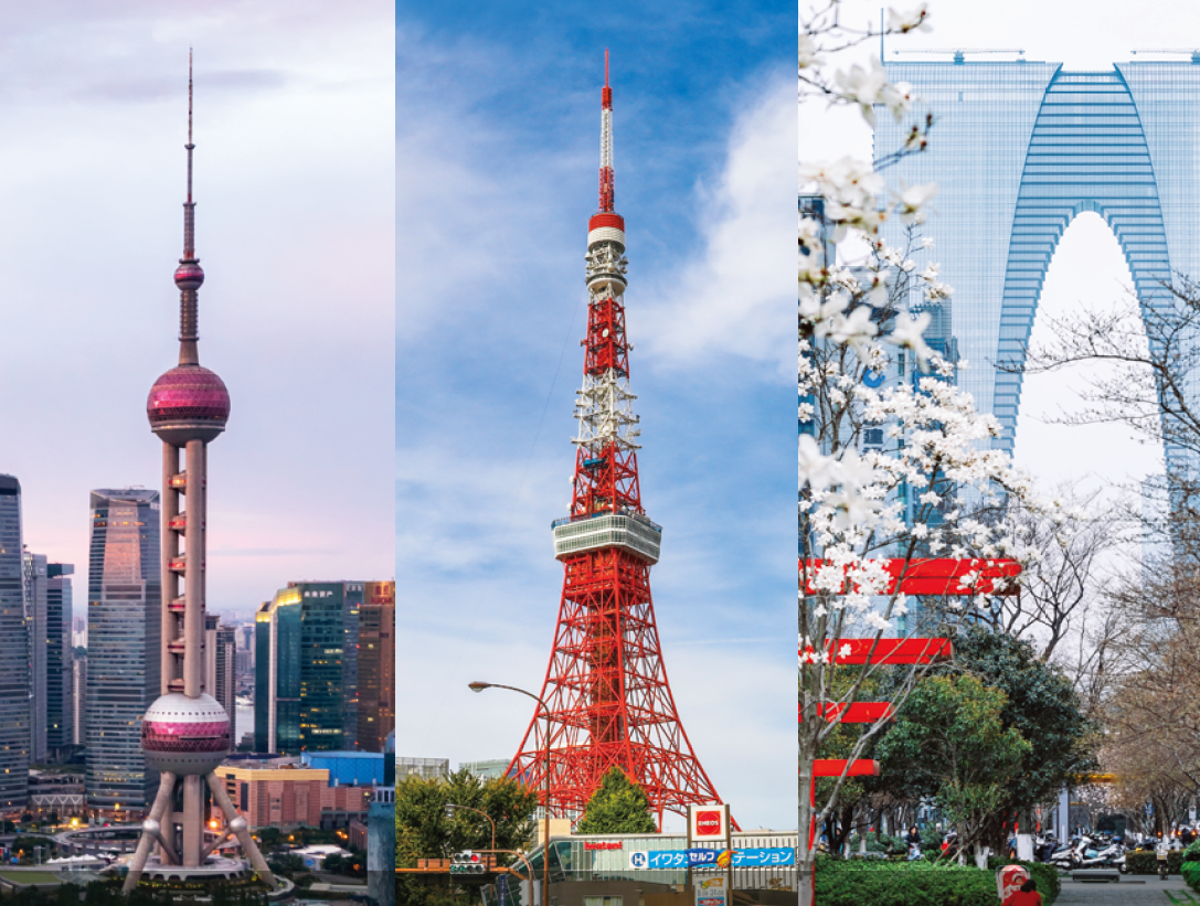 <strong><span style='font-size:18px;'><span style='color:#000000;'>Le nostre tecnologie</span></span></strong>